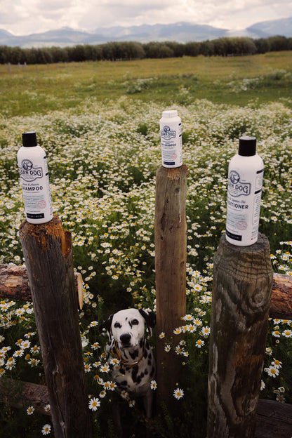 Barn Dog Shampoo Bundle