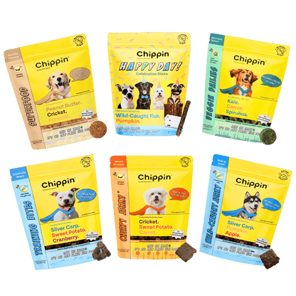 Chippin Chippin Complete Variety Bundle