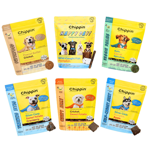 Chippin Chippin Complete Variety Bundle