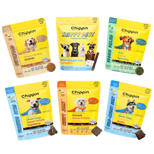 Chippin Chippin Complete Variety Bundle