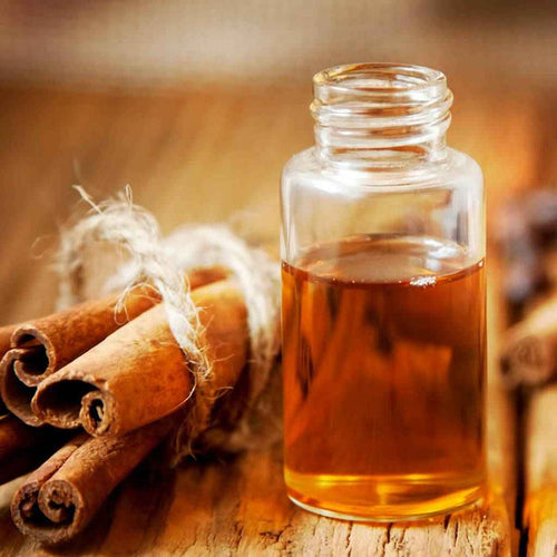 Cinnamon & Amber - Premium Fragrance Oil