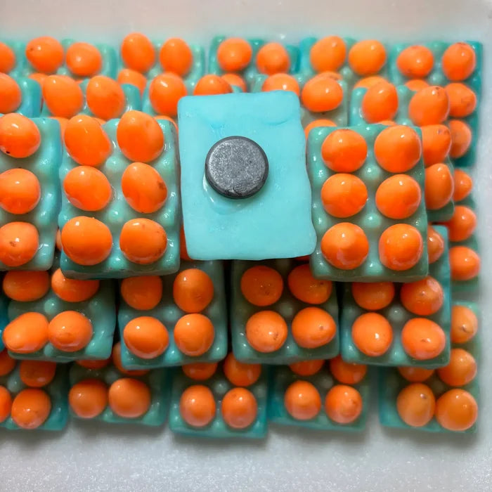 Eggs in A Carton Kitchen Magnet