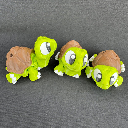 Turtle