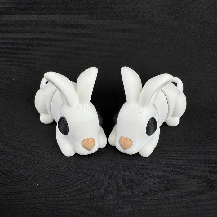 Rabbit