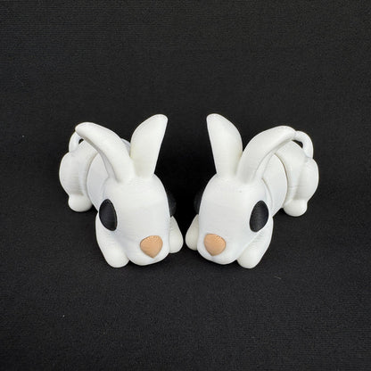 Rabbit