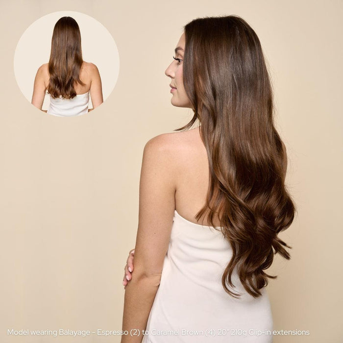 Ombre Espresso (#1C) to Chestnut Brown (#6C) 100g Weft