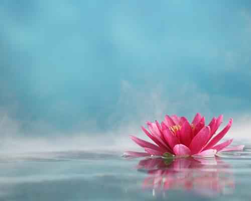 Ozonic - Premium Fragrance Oil