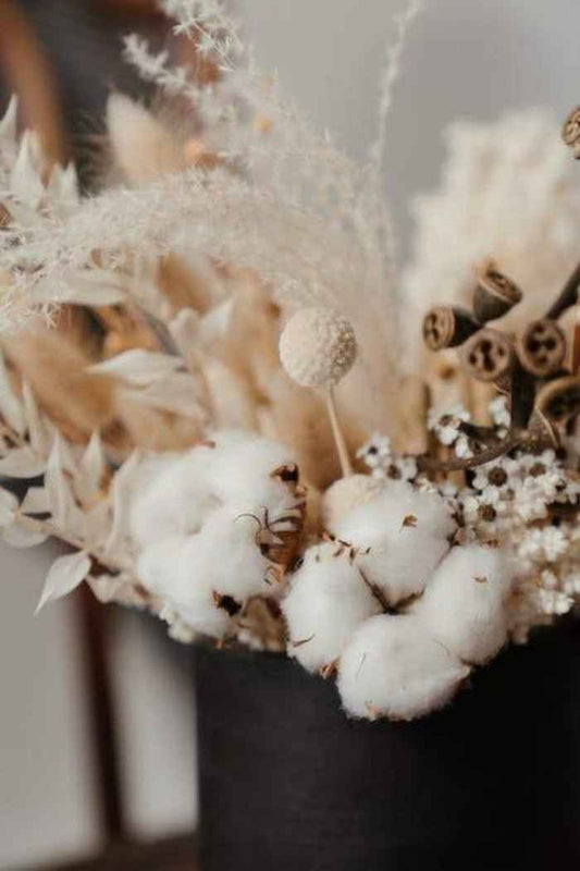 Raw Cotton - 1oz Sample