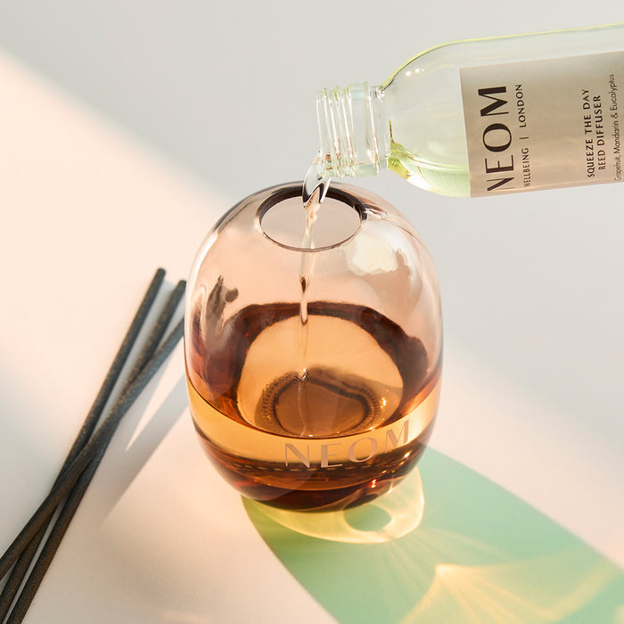 Squeeze The Day Reed Diffuser & Refill